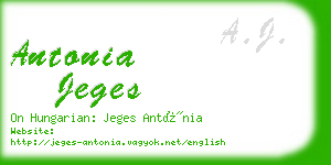 antonia jeges business card
